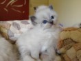 /album/almok-vegyesen/img-20190419-104449-jpg/
